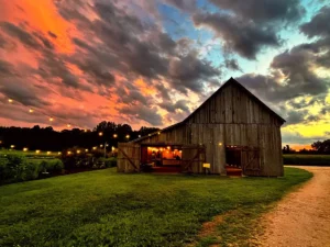 Goldpetal Farms 2023 Photo Contest Winner Katie Suite