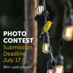 2022 Photo Contest at Goldpetal Farms