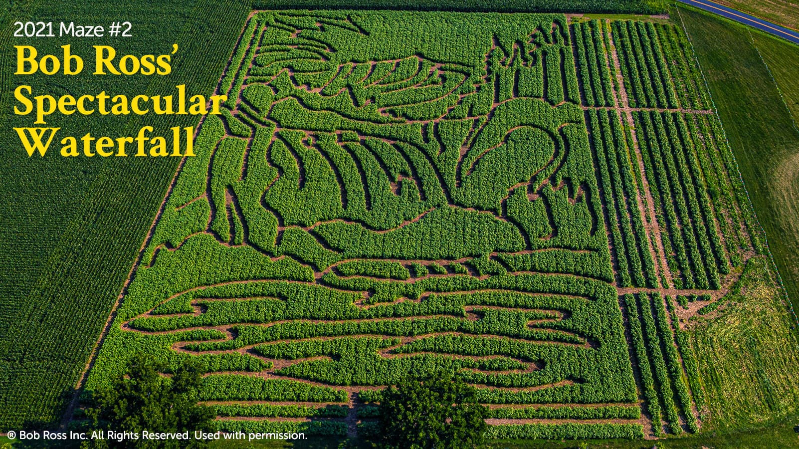 2021 Goldpetal Farms Sunflower Maze Bob Ross Painting