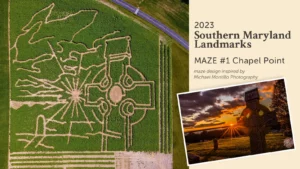 2023 Goldpetal Farms Sunflower Maze #1 Chapel Point