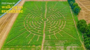 Goldpetal Farms 2020 Maze #2 Walking on Sunshine, Chaptico Maryland